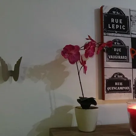 Apartment Saint Louis *